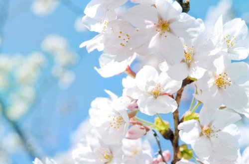 Bazar günü 18 dərəcə isti olacaq