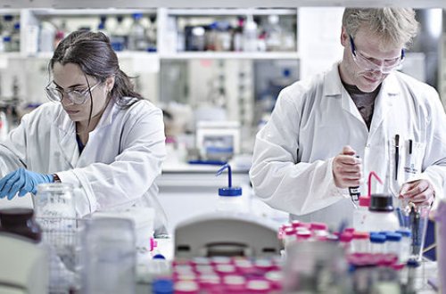 Xərçəngin səkkiz növünü müəyyən edən üsul tapıldı