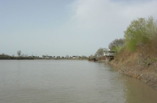 Nazirlik: Kürdə biogen maddələrin miqdarı normadan dəfələrlə artıqdır