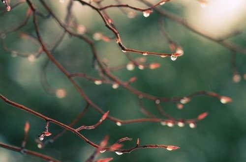 Sabaha olan hava proqnozu