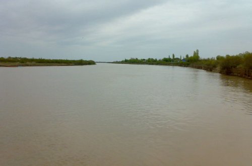 Kürdə biogen maddələrin miqdarı normadan dəfələrlə artıq olub – RƏSMİ