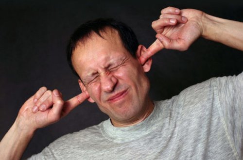 Kafe sahibi müsuqi səsinə görə cərimələndi