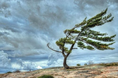 Sabah güclü külək əsəcək
