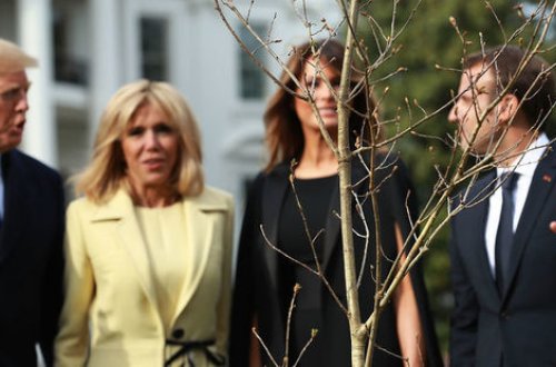 Makronun Trampa hədiyyə etdiyi itmiş palıd tapıldı