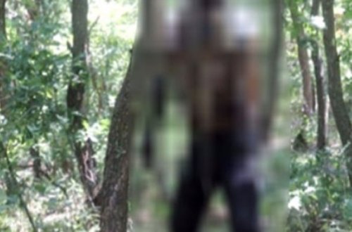 İtkin düşən gəncin cəsədi meşədə tapıldı - VİDEO