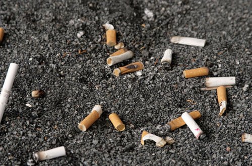 Baş nazir tütünlə bağlı qərar verdi