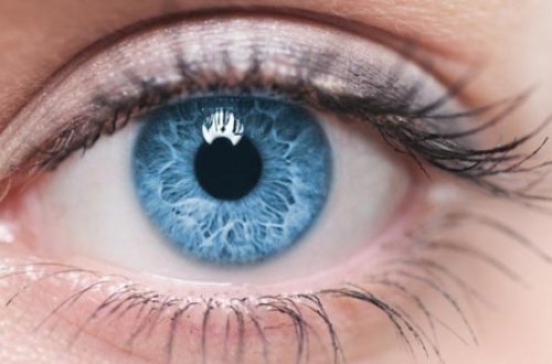 Azərbaycanda buynuz qişası əməliyyatına başlanılıb