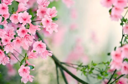 Sinoptiklər 26 dərəcə isti proqnozlaşdırırlar