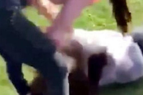 13 yaşlı qızı küçədə döyüb, VİDEOya çəkdilər