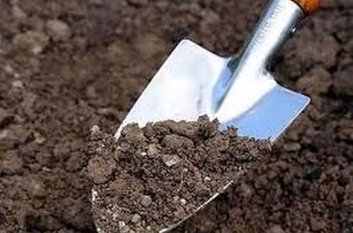 İtkin düşmüş şəxsin öldürülərək zirzəmidə basdırıldığı məlum olub