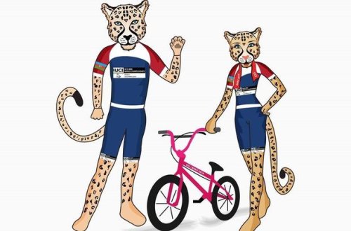 Bakıda keçiriləcək dünya çempionatının maskotu bəbir seçildi