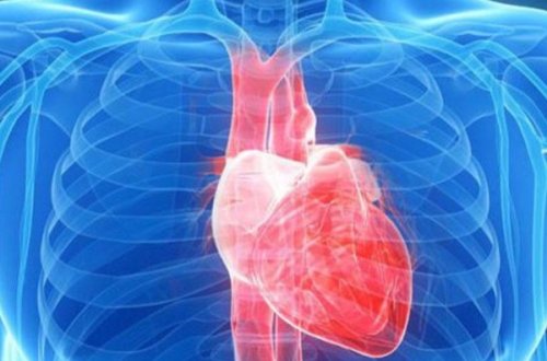 Ürək üçün ən ziyanlı 5 QİDA