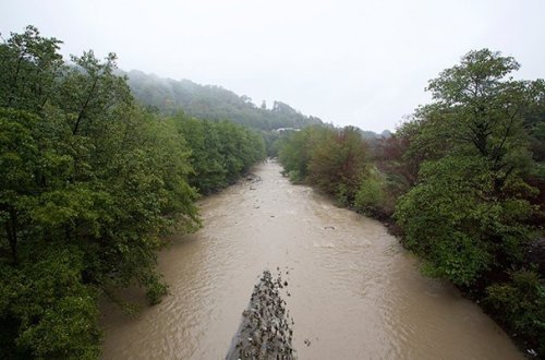 Çaylarda son vəziyyət açıqlandı