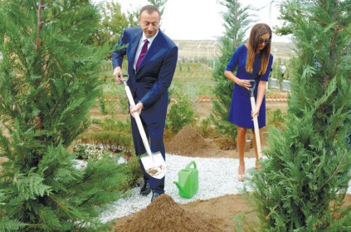 İlham Əliyev ağacəkmə kampaniyasında iştirak edib  - YENİLƏNİB