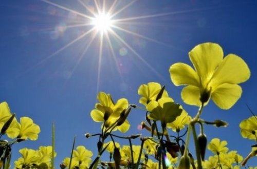 Qeyri-sabit hava şəraiti davam edəcək – XƏBƏRDARLIQ