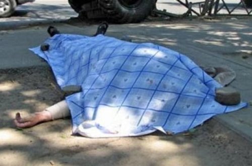 Şabranda bədbəxt hadisə: at qoşqusunun altında qaldı