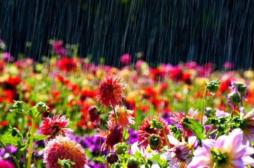 Sabah yağış yağacaq