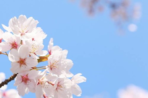 Temperatur 29 dərəcəyədək yüksələcək