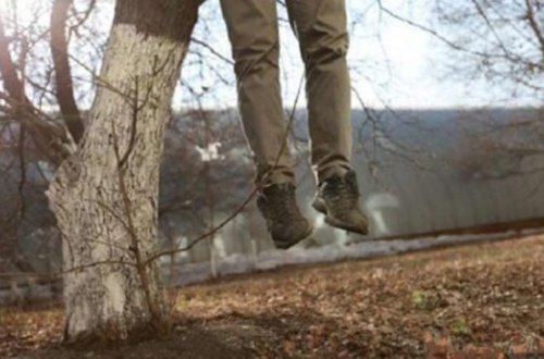 Azərbaycanda 28 yaşlı gənc özünü ağacdan asdı