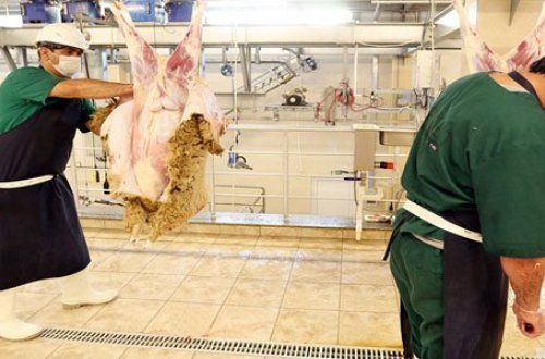 İran halal ət kəsimini Azərbaycan şirkətinə etibar etdi (FOTO/VİDEO)