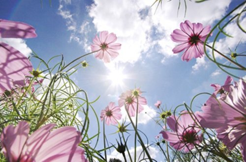 Sabah 33 dərəcə isti olacaq