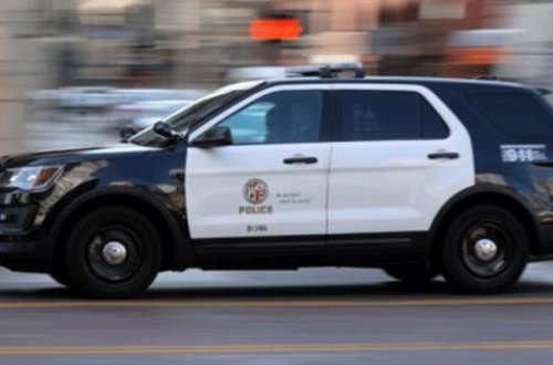 Amerikada erməni dələduzluğu - 8 milyon dollarlıq cinayət