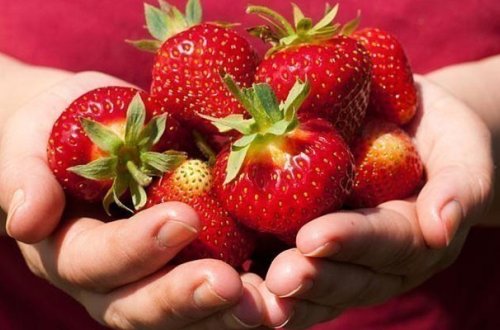 Bizim çiyələkdə zərərli maddələr varmı?