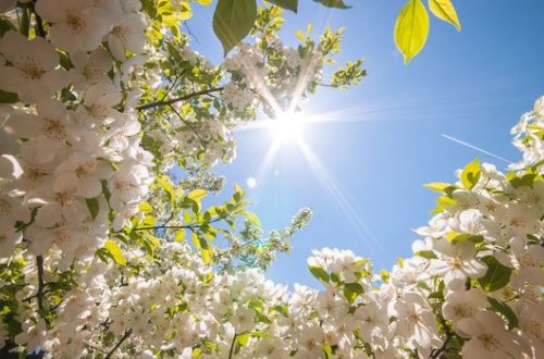 Sabah 26 dərəcə isti olacaq