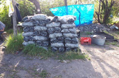 Kömür quyuları yaradanlar cərimələnib - FOTO