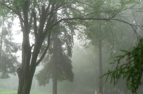 Leysan yağacaq, dolu düşəcək - İyunun 1-nin havası