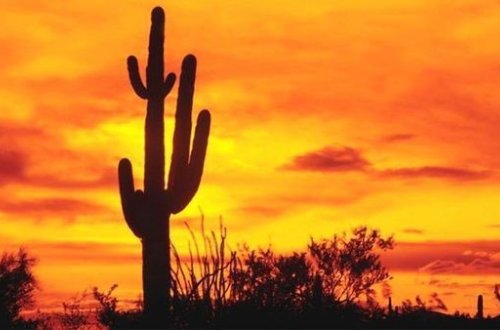 Meksikada istilər: Hökumət fövqəladə vəziyyət elan etdi