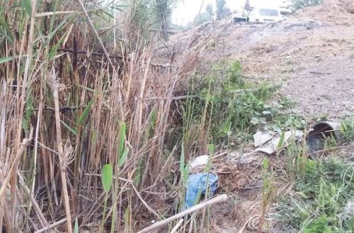 Zərdabda kollektora tullantı atan şəxslər cərimələniblər