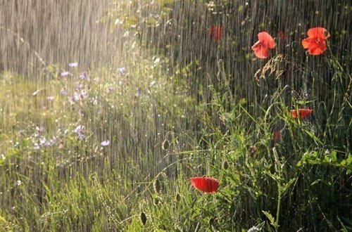 Şimşək çaxacaq, leysan yağacaq...