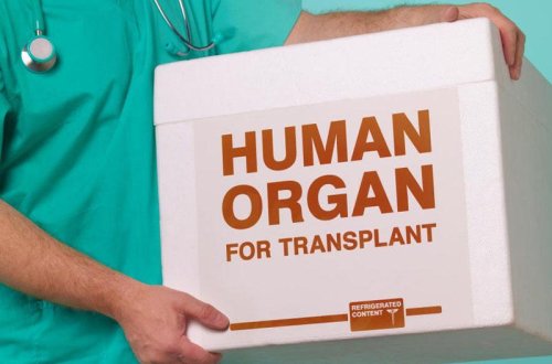 Azərbaycana xaricdən ölü donorun gətirilməsi mümkün olacaq