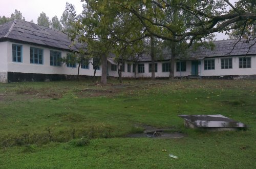 İyunun ilk hərracı da rəqabətli keçdi