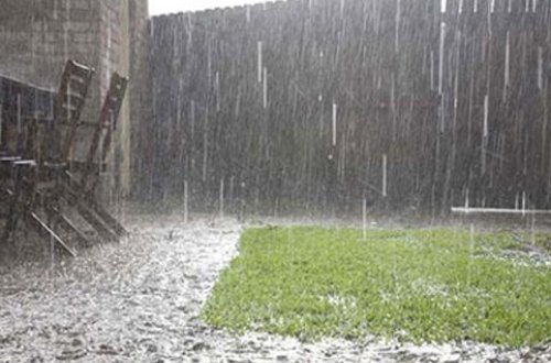 Rusiyada kənd təsərrüfatı iflic olub