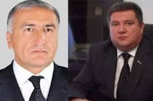 Lerikdən Leyla Əliyevaya müraciət: 