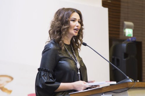 Deputat: Məktəblər internet-kafelərlə əhatə olunub