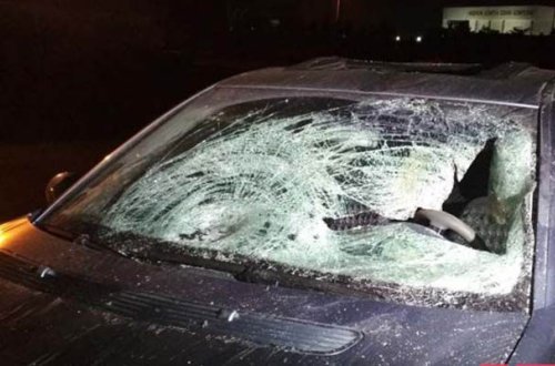 İsmayıllıda “Mercedes” mal-qara sürüsünə çırpılıb - 3 ölü, 3 yaralı