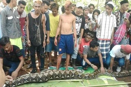 Qadın itkin düşdü, cəsədi ilanın qarnından tapıldı