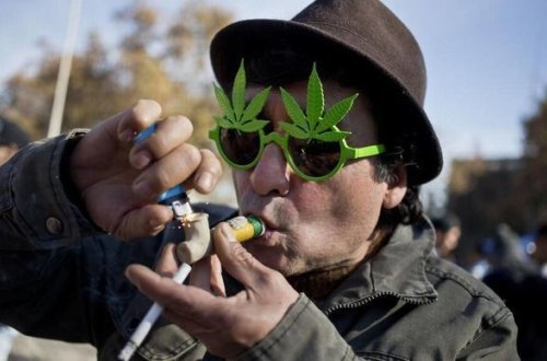 Kanadada marixuana leqallaşdırıldı