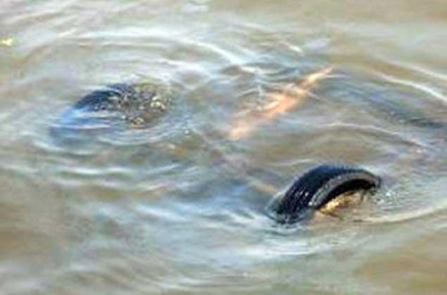 SON DƏQIQƏ: Qoşqulu traktor kanala aşıb, 14 qadın və uşaq ölüb