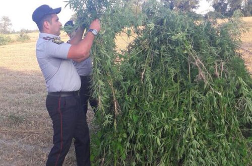 3 tona yaxın narkotik yandırıldı