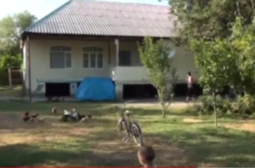 Ucarda ailə ilanlara görə evini tərk edib - Video