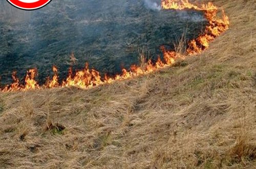 ƏMDK-dan xəbərdarlıq: Əkin sahələrini yandıranlar cərimə olunacaqlar