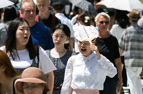 Yaponlar 30 dərəcə istiyə görə öldülər