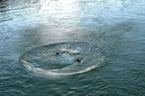 Bərdədə iki yeniyetmə göldə batdı