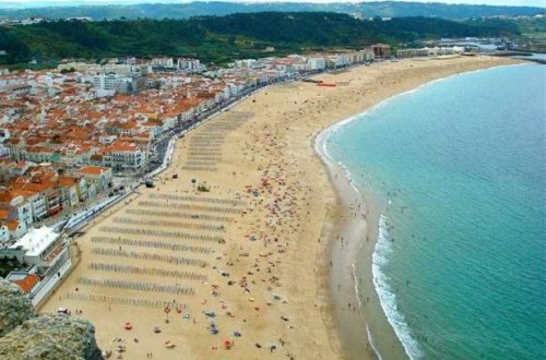 Çin sahillərində əcayib məxluq tapıldı - VİDEO