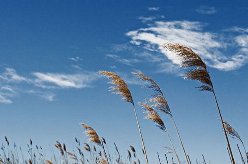 Sabah hava küləkli olacaq