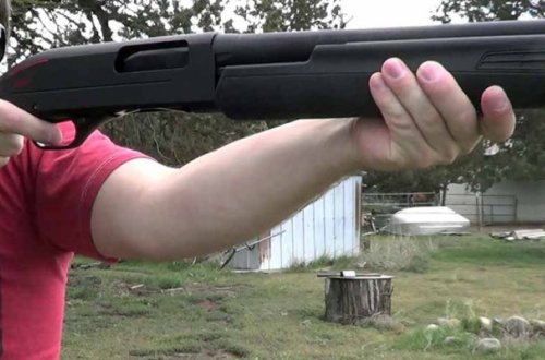 İtləri güllələyəni polis saxladı